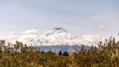 Blick auf den Cotopaxi