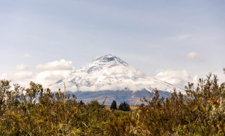 Blick auf den Cotopaxi